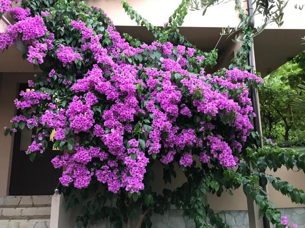 Apartments House Barbara 2 คอร์นิช ภายนอก รูปภาพ